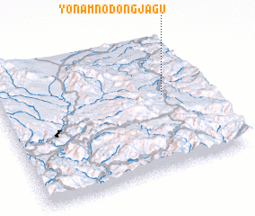 3d view of Yŏnam-nodongjagu