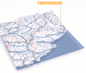 3d view of Taerodong-ni