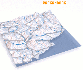 3d view of Paegam-dong