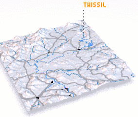 3d view of Twissil