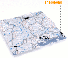 3d view of Taejŏ-dong