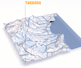 3d view of Tae-dong