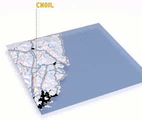 3d view of Choil