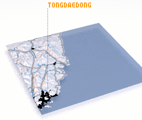 3d view of Tongdae-dong