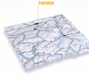 3d view of Tarimok