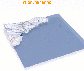 3d view of Chaeyŏng-dong