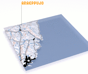 3d view of Araeppujo