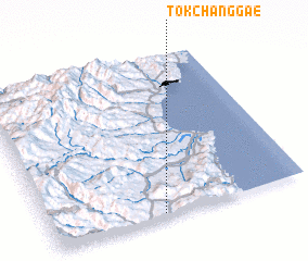 3d view of Tokchanggae