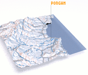 3d view of Pongam