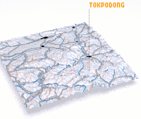 3d view of Tŏkp\