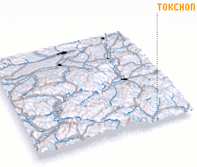 3d view of Tok-ch\