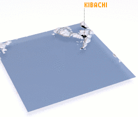 3d view of Kibachi