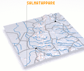 3d view of Salma Tappare