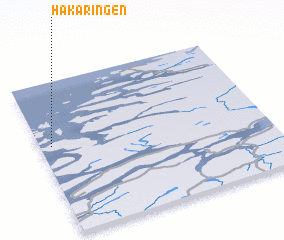 3d view of Håkaringen