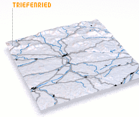 3d view of Triefenried