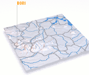 3d view of Bori