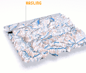 3d view of Hasling