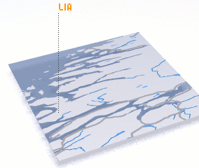 3d view of Lia