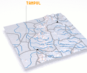 3d view of Tampul