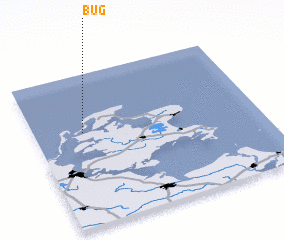 3d view of Bug