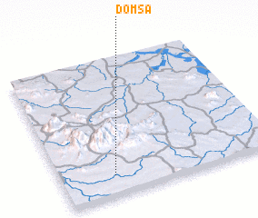 3d view of Domsa
