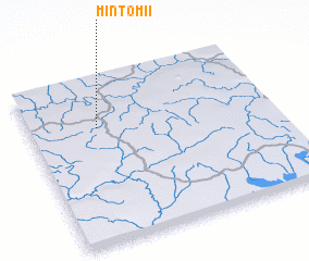 3d view of Mintom II