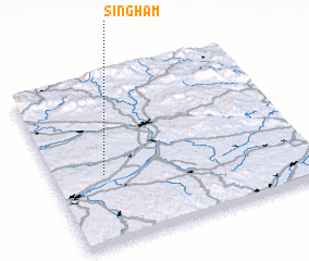 3d view of Singham