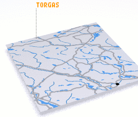 3d view of Torgås