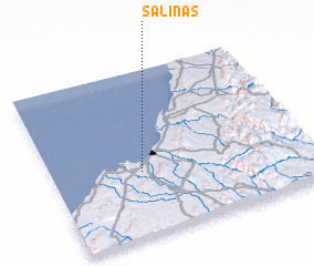 3d view of Salinas