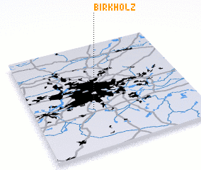 3d view of Birkholz