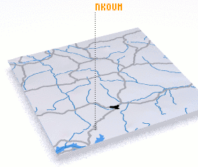 3d view of Nkoum