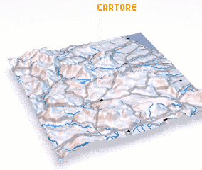 3d view of Cartore