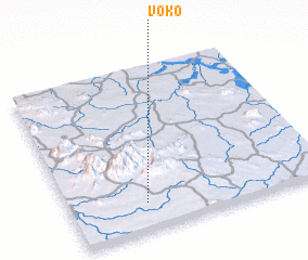 3d view of Voko