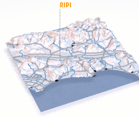 3d view of Ripi