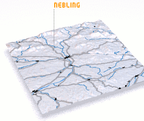 3d view of Nebling