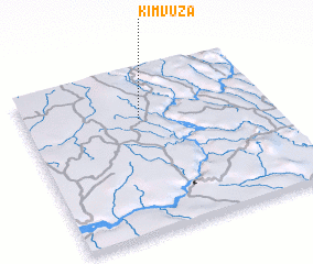 3d view of Kimvuza