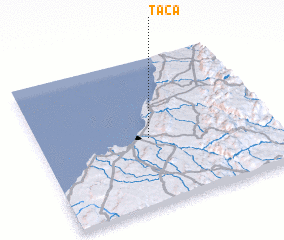 3d view of Taca