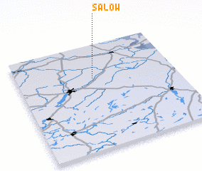 3d view of Salow