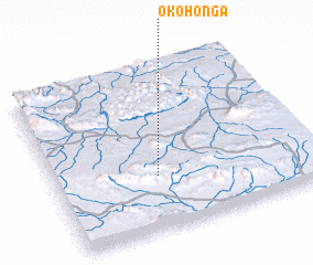 3d view of Okohonga