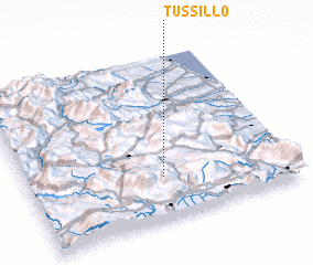 3d view of Tussillo