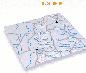 3d view of Kushinahu