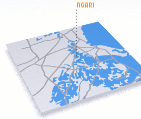 3d view of Ngari