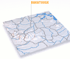 3d view of Bakatougé