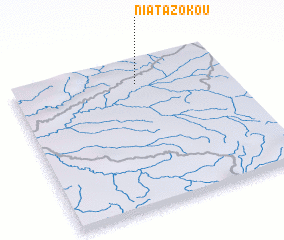 3d view of Niatazokou