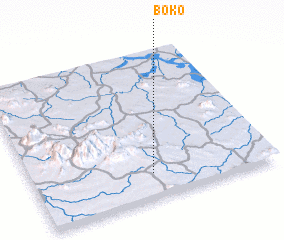 3d view of Boko