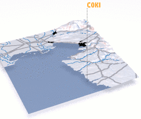 3d view of Coki