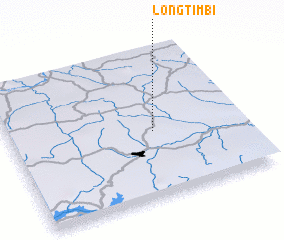 3d view of Longtimbi