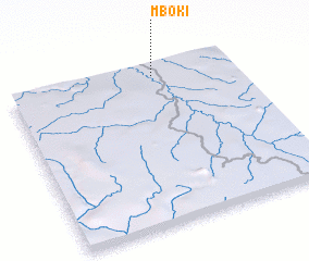 3d view of Mboki
