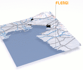 3d view of Flengi