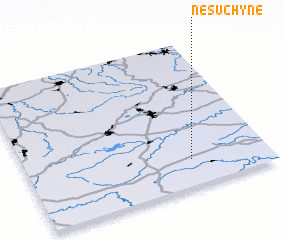 3d view of Nesuchyně